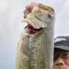 Thumbnail of new posts 110